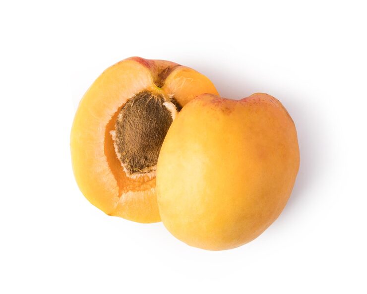albaricoque abierto
