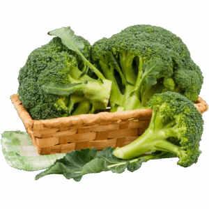 diseño de brocoli diseño de brocoli