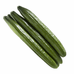 pepino holandes pepino holandes