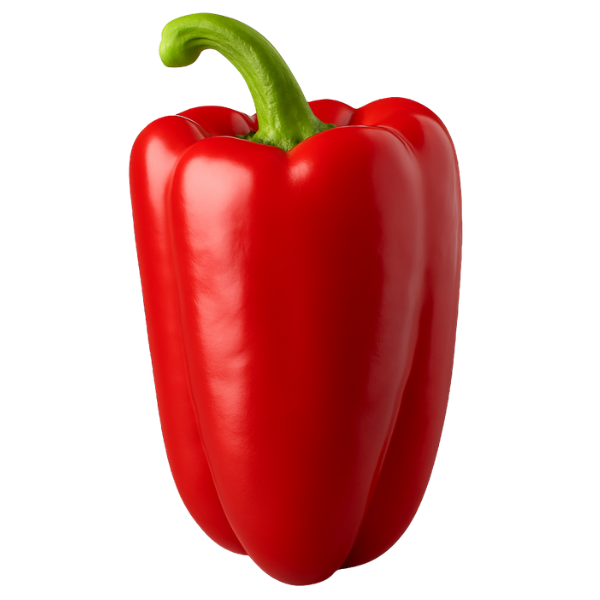 pimiento lamuyo_clovis