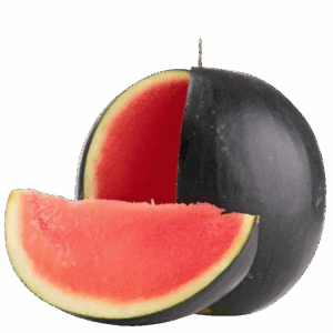 sandia negra con rodaja sin pepitas sandia negra con rodaja sin pepitas