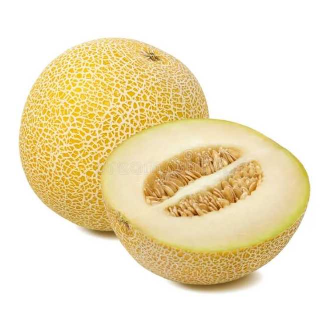 Melón Galia