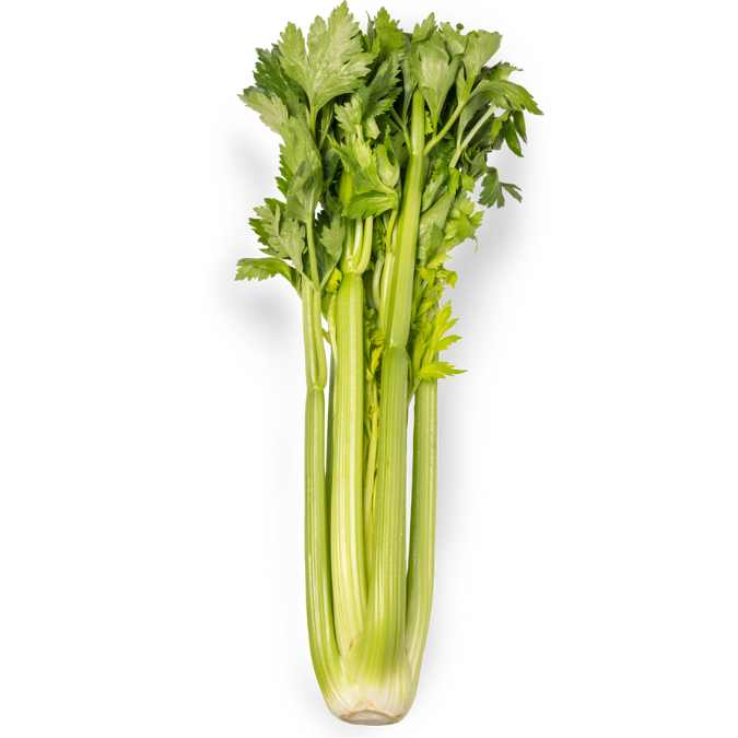 Apio en rama