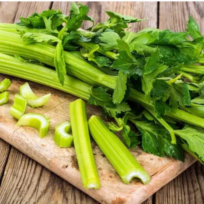 Apio en un plato (producto)