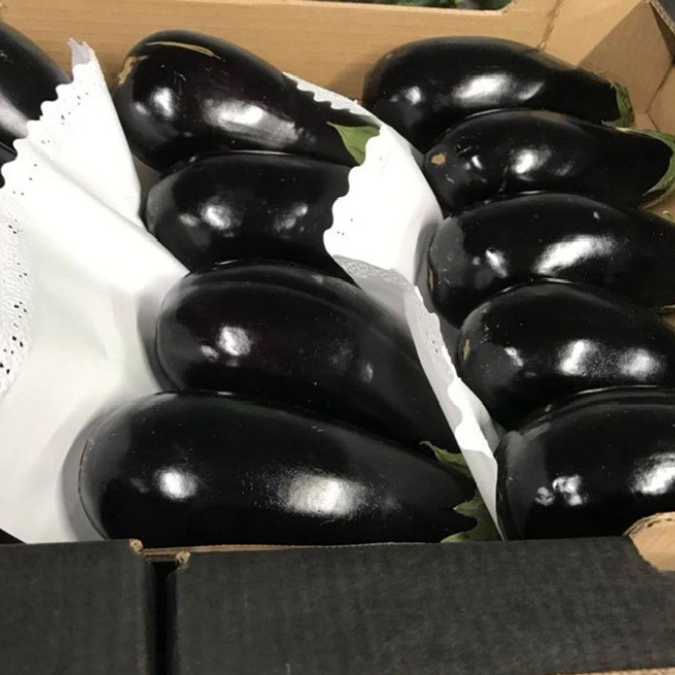 Berenjena negra confeccionada (presentación)