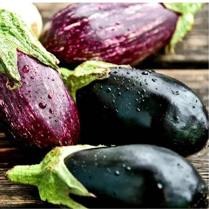 Berenjena negra y berenjena rallada (rayada)