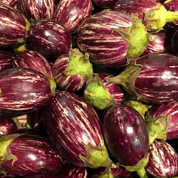 Berenjena rallada en paquete (expedición)