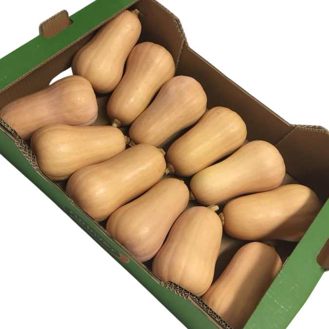 Caja de calabaza Butternut