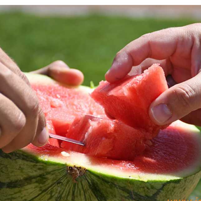 Persona comiendo sandía blanca