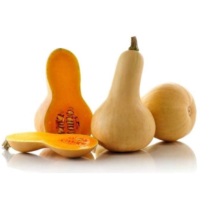 Composición de calabaza Butternut (producto)