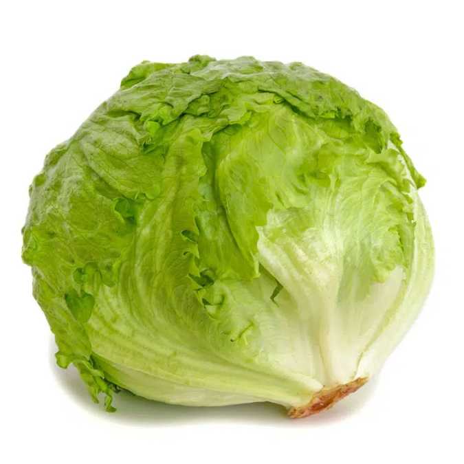 Lechuga Iceberg