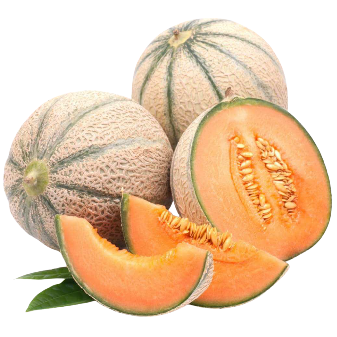 Melon Charentais