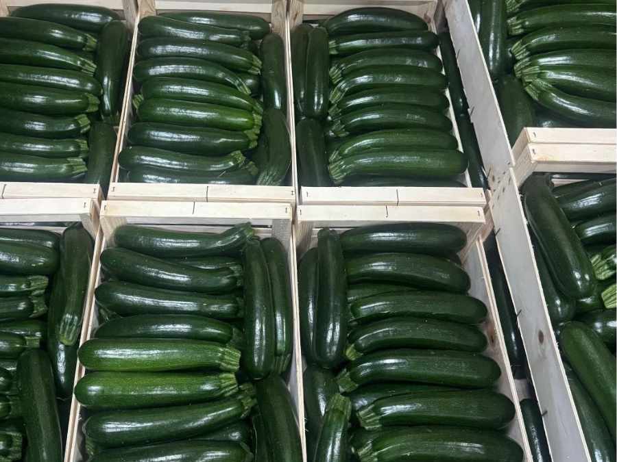 Calabacín verde confeccionado