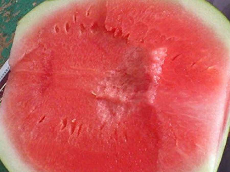 Corazón de sandía blanca sin pepitas