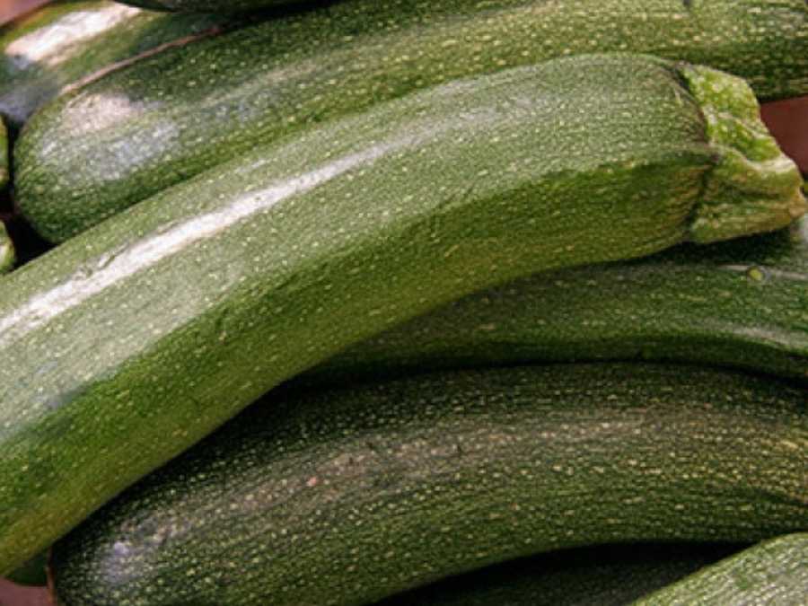 Detalle de calabacín verde