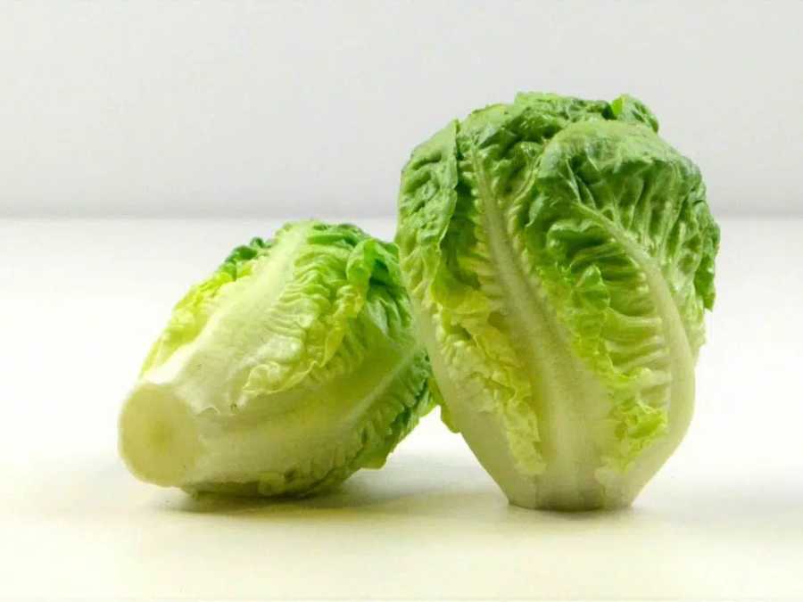 Laitue sucrine – conditionnement 2 pièces