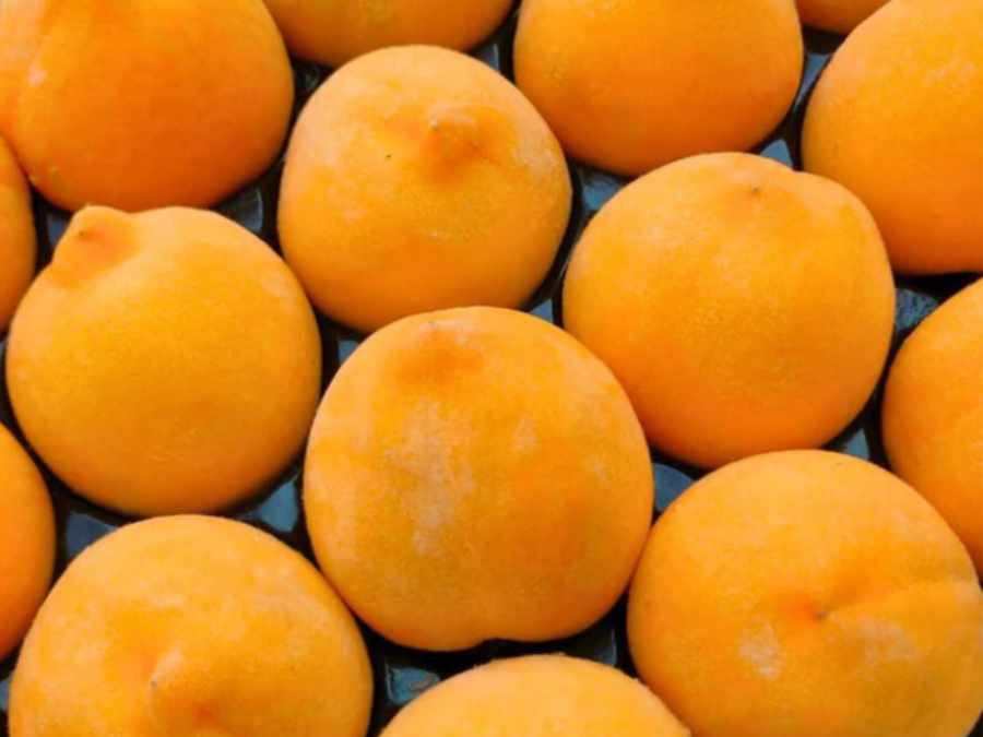 Pêches en caisse pour la distribution