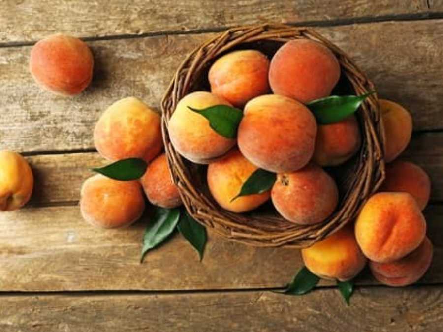 Pêches dans un panier