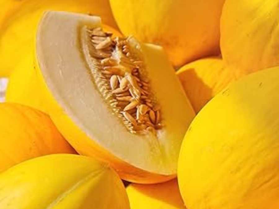 Melón Canario a granel