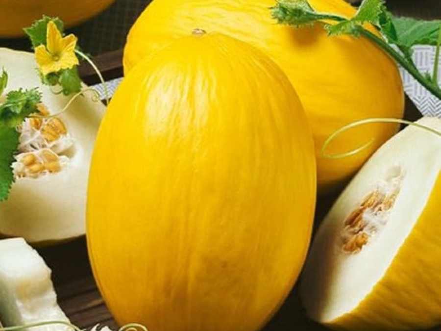 Composición de Melón Canario