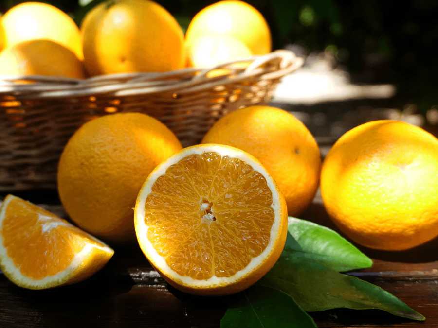 Naranjas con sombras