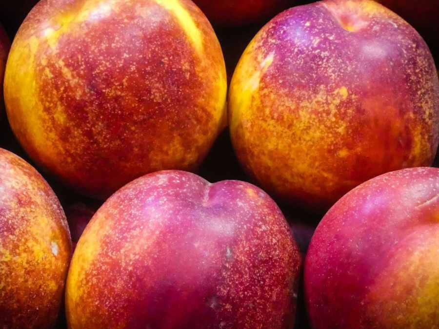 Detalle de nectarina