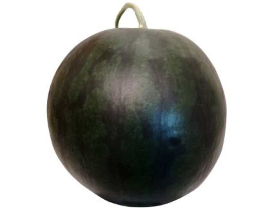 Pastèque noire sans pépins en image produit
